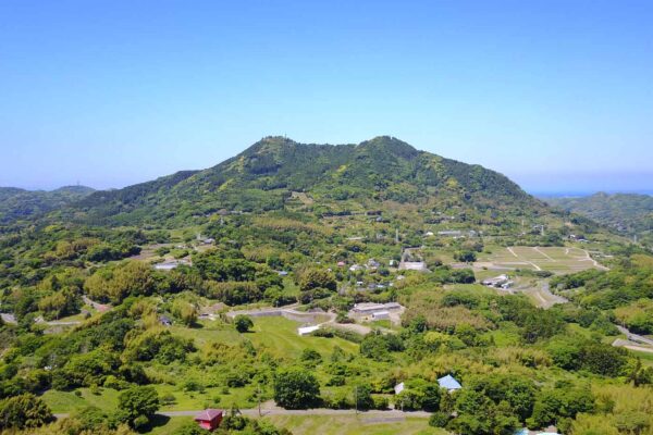 tomisan