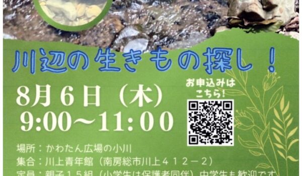kawabe20260806